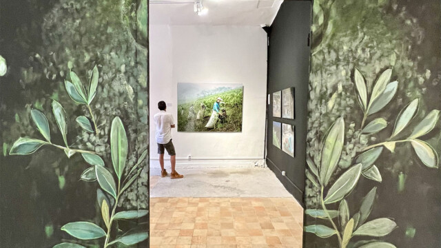 Coca Plant - Arles, France.