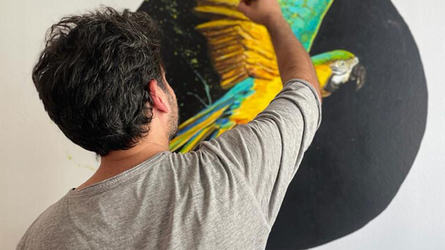 Guacamaya - Bogotá, Col.